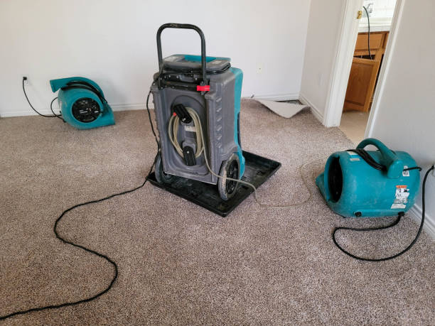 Water damage restoration experts in Troup, TX