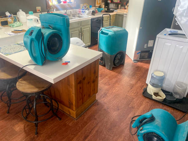 Best Water damage cleanup near me  in Troup, TX