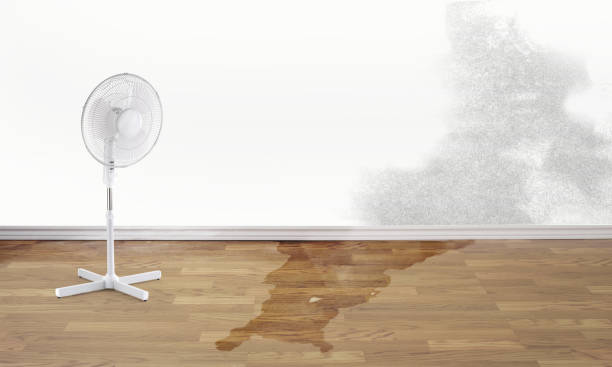 24/7 water damage repair in Troup, TX