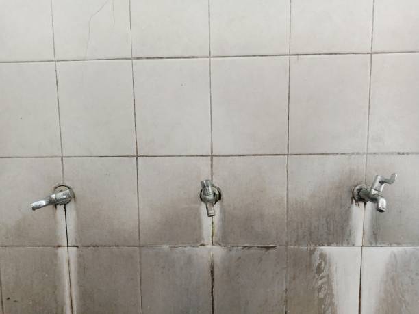 Best Carpet water damage restoration  in Troup, TX