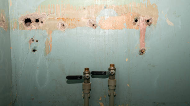 Best Commercial water damage restoration  in Troup, TX