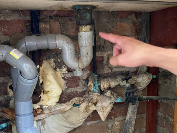 Best Water damage restoration near me  in Troup, TX