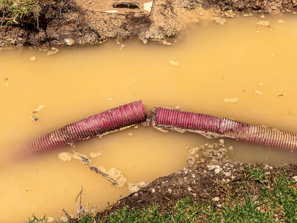 Best Basement water damage restoration  in Troup, TX