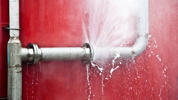 Best Mold removal after water damage  in Troup, TX